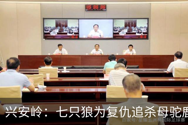 兴安岭：七只狼为复仇追杀母驼鹿，却遭遇求爱的公驼鹿的生死挑战