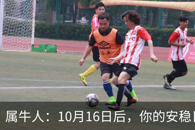 属牛人：10月16日后，你的"安稳日子"要暂时中断