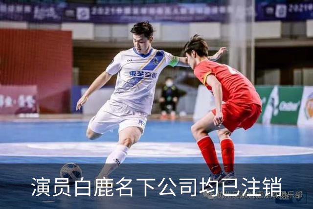 演员白鹿名下公司均已注销