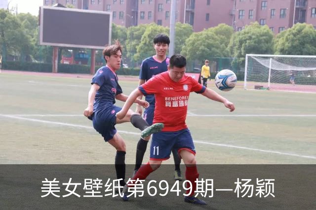美女壁纸第6949期—杨颖