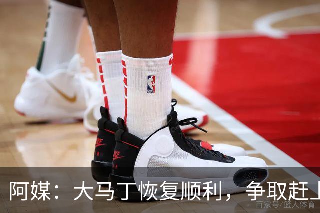 阿媒：大马丁恢复顺利，争取赶上11月阿根廷队比赛