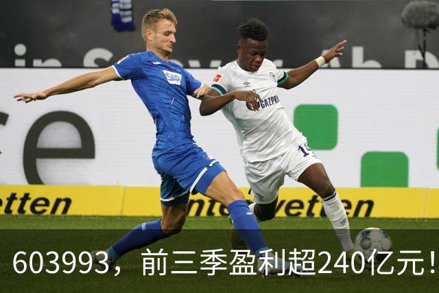 603993，前三季盈利超240亿元！已超去年全年！